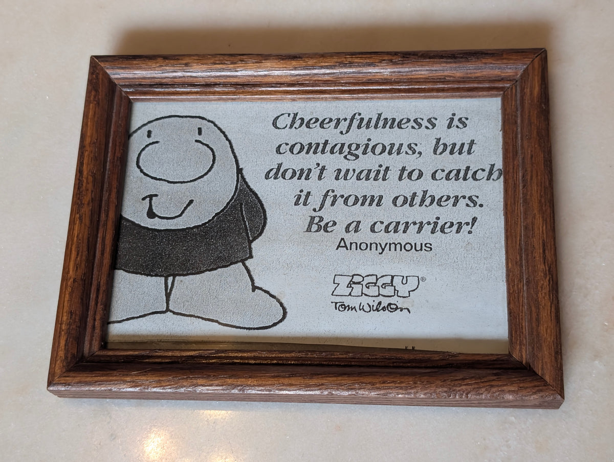 Ziggy Tom Wilson Framed Inspirational Quote Wall Art "Cheerfulness Is Contagious"