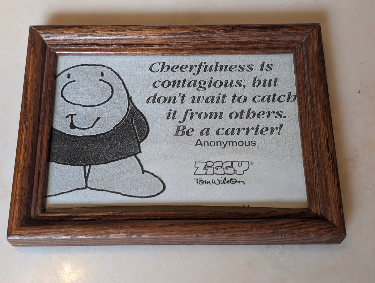 Ziggy Tom Wilson Framed Inspirational Quote Wall Art "Cheerfulness Is Contagious"