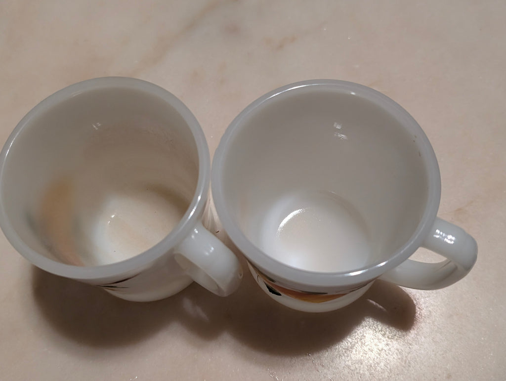 Anchor Hocking Fire-King Milk Glass Coffee Mugs Hand Painted Floral Set (2)