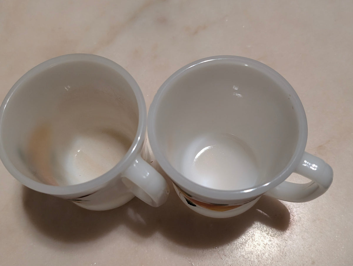 Anchor Hocking Fire-King Milk Glass Coffee Mugs Hand Painted Floral Set (2)