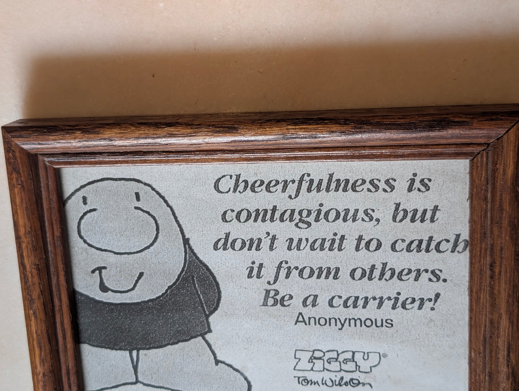 Ziggy Tom Wilson Framed Inspirational Quote Wall Art "Cheerfulness Is Contagious"
