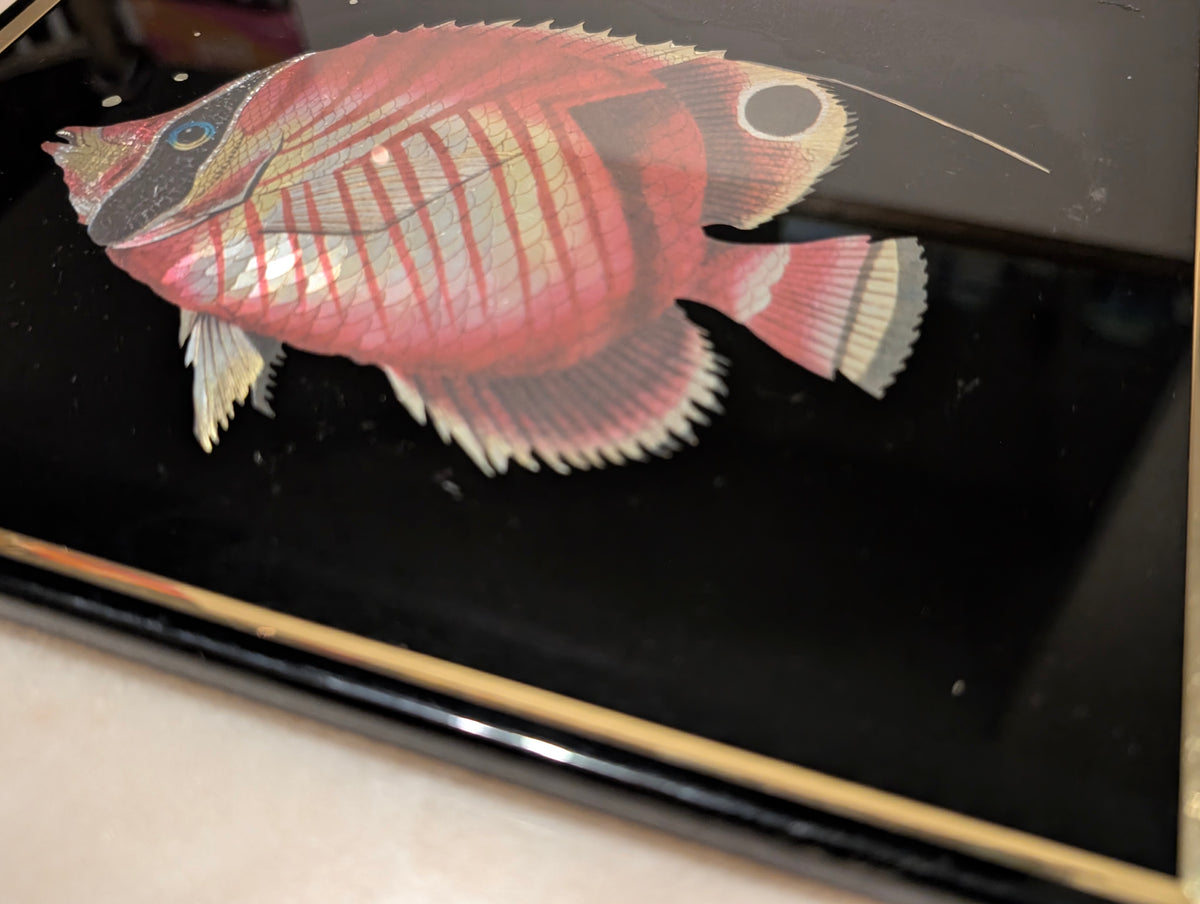 Vintage Kafka Industries #4406 Butterflyfish 3D Foil Wall Art Framed Tropical Fish Made in USA